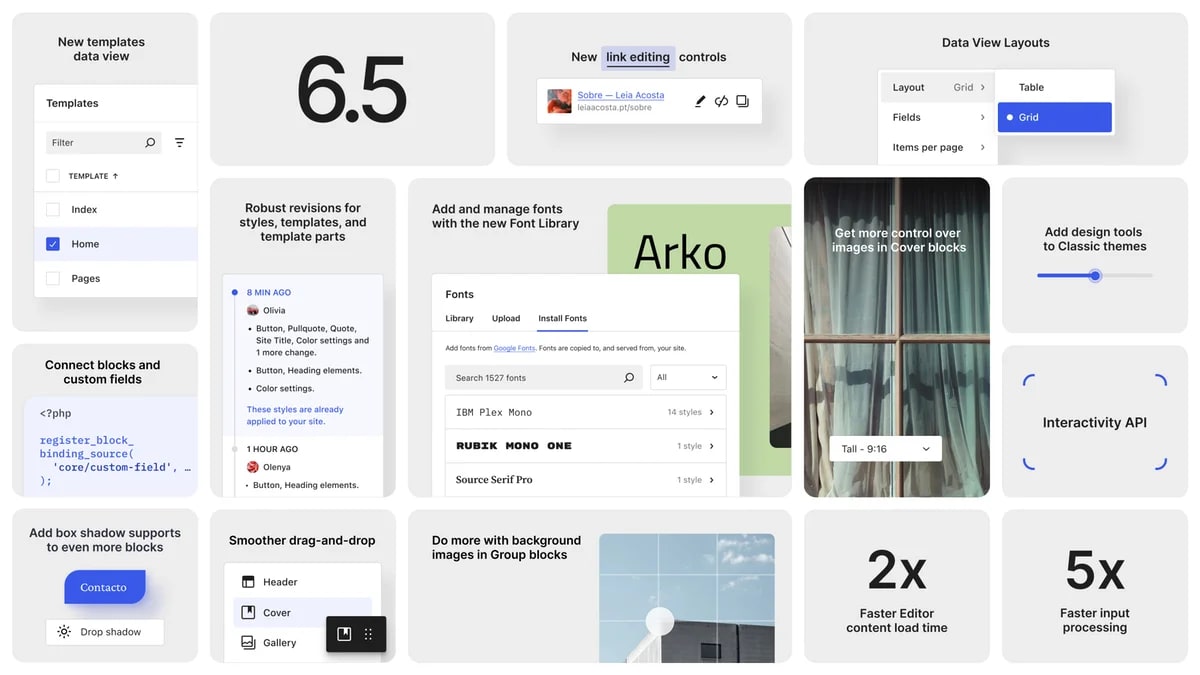 WordPress 6.5 veröffentlicht